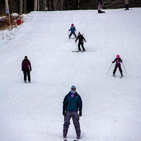 Villa Roma Resort And Conference Center Callicoon Екстериор снимка