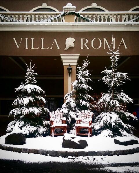 Villa Roma Resort And Conference Center Callicoon Екстериор снимка