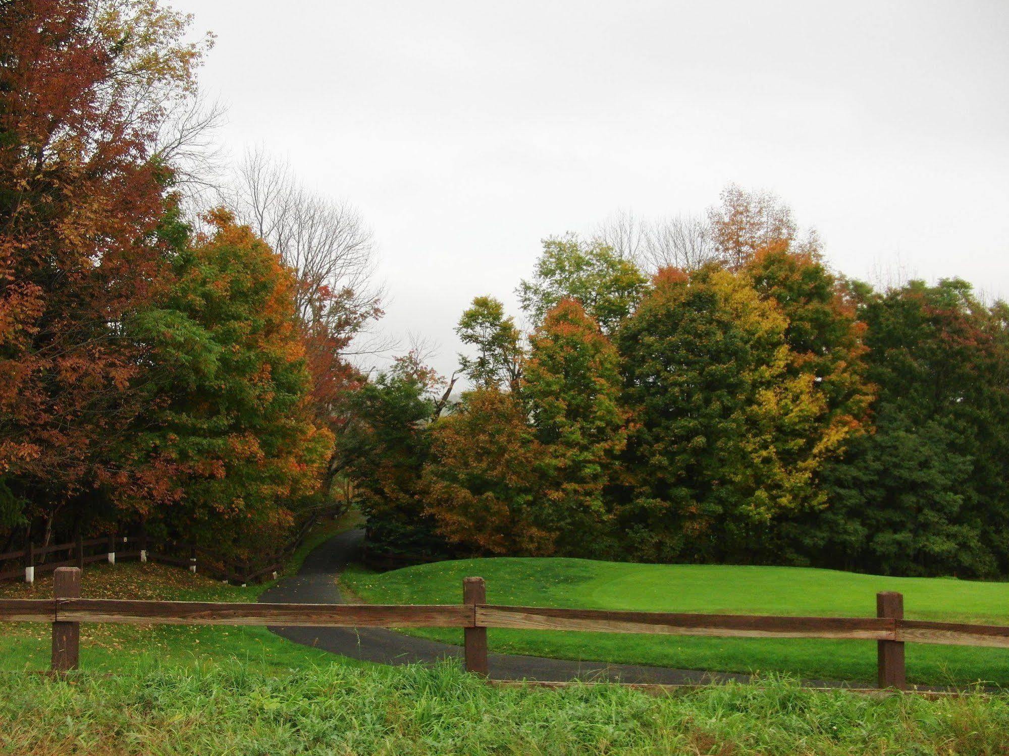 Villa Roma Resort And Conference Center Callicoon Екстериор снимка