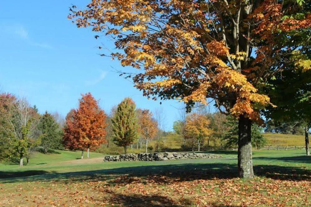 Villa Roma Resort And Conference Center Callicoon Екстериор снимка