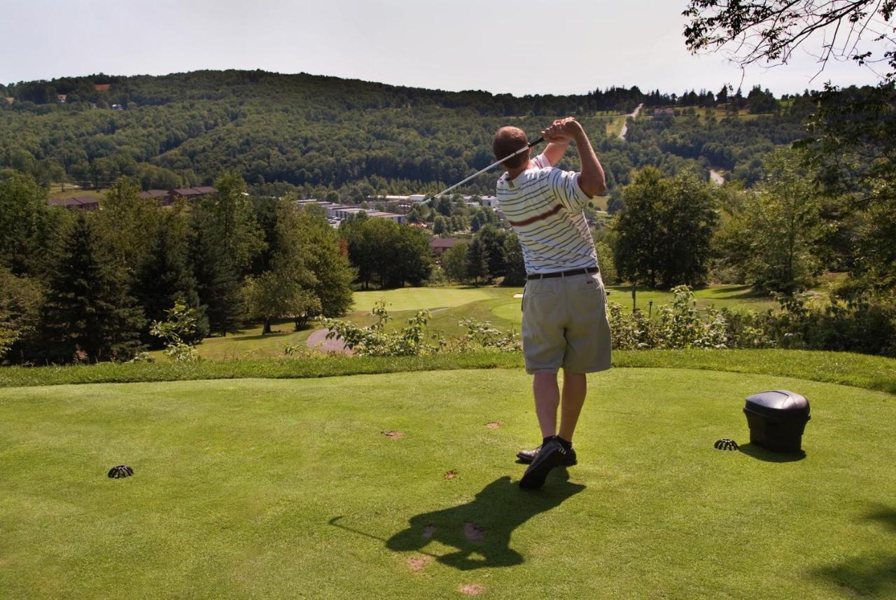 Villa Roma Resort And Conference Center Callicoon Екстериор снимка
